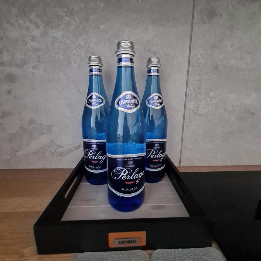 Mieszkanie W Nowoczesnym Halo Apartament W Centrum Wroclaw Dış mekan fotoğraf